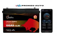 LiFePO4 Batéria OLALITIO Bluetooth Smart BMS 12,8V 100Ah 1280Wh OLA-12-100